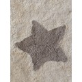 Хлопковый ковер Lillaland VINTAGE STARS 120*180 от LILLALAND