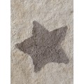 Подушка декоративная Stars Lillaland 40х40 от LILLALAND