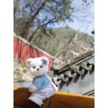 Lina Медведь Незабудка пудинговый цвет с костюмом S (±20 см) от TeddyTales Lina Медведь Незабудка пудинговый цвет с костюмом S (±20 см) от TeddyTales