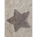 Хлопковый ковер Lillaland VINTAGE STARS 60*90 от LILLALAND